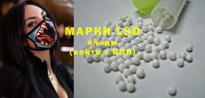 кракен ССЫЛКА  купить наркотики цена  Каменногорск  Лсд 25 экстази ecstasy 