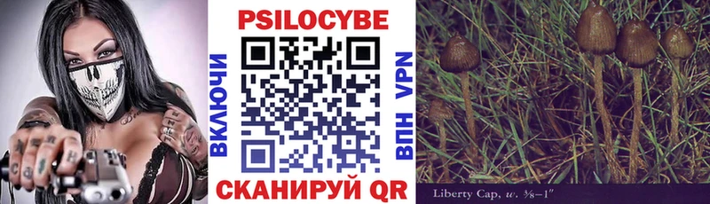 Галлюциногенные грибы GOLDEN TEACHER  Каменногорск 